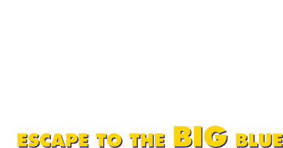 Finding Nemo Escape to the Big Blue title screen for Nintendo DS
